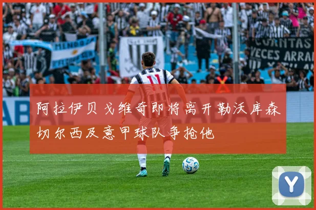 阿拉伊贝戈维奇即将离开勒沃库森切尔西及意甲球队争抢他